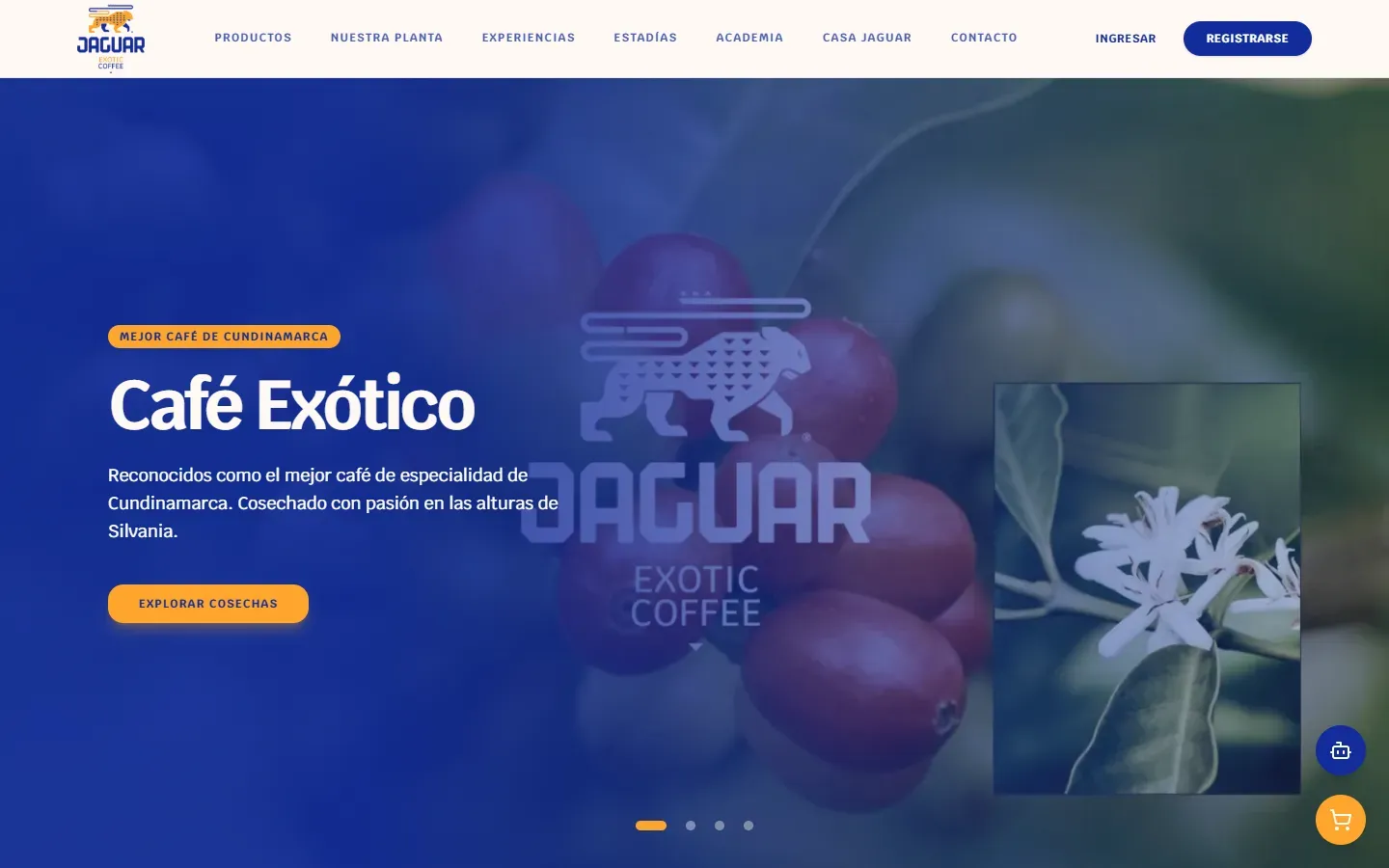 Portada de la web de Jaguar Coffee con el café de especialidad de Silvania